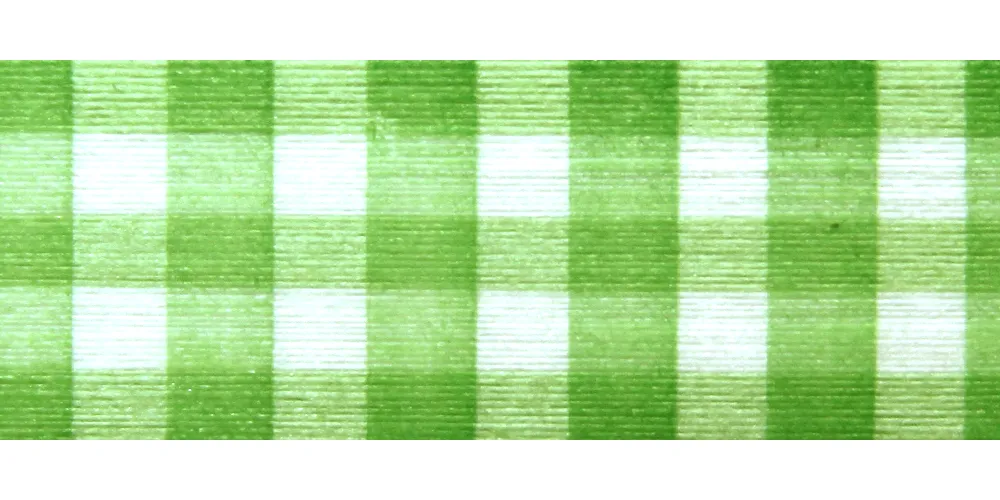 Kiwi Gingham